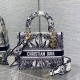 디올 미디엄 레이디 디 라이트 백 M0565ORVX M933