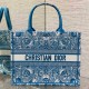 디올 Book Tote 미디엄 백 셀레스티얼  D-Butterfly Paisley 자수 M1296ZEEP_M64I