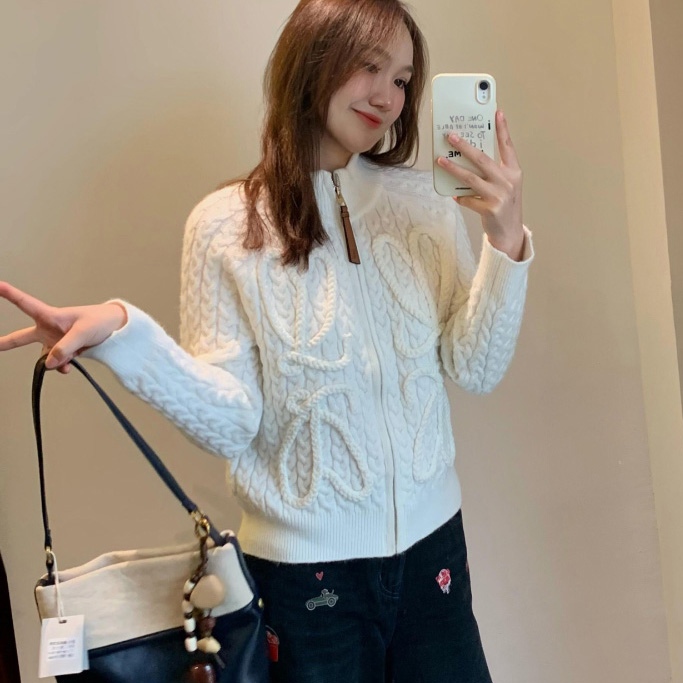 로에베 고품질 여성 스웨터 14  H